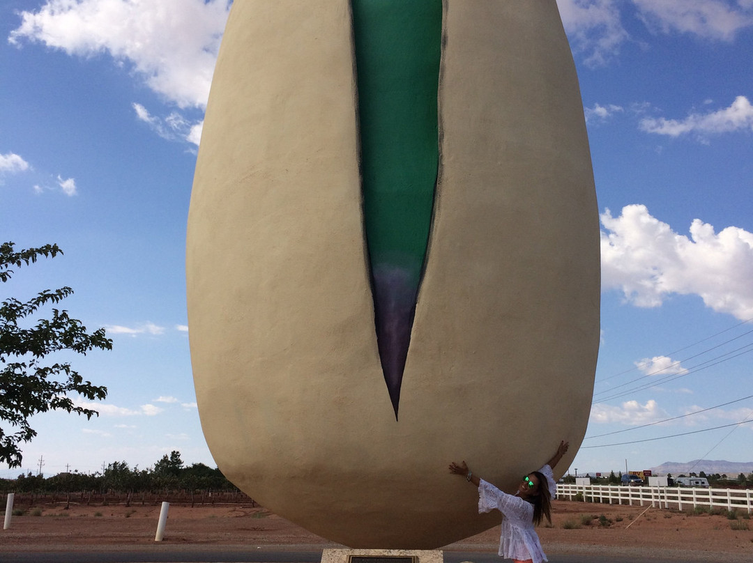 McGinn's PistachioLand-阿拉莫戈多必去景点