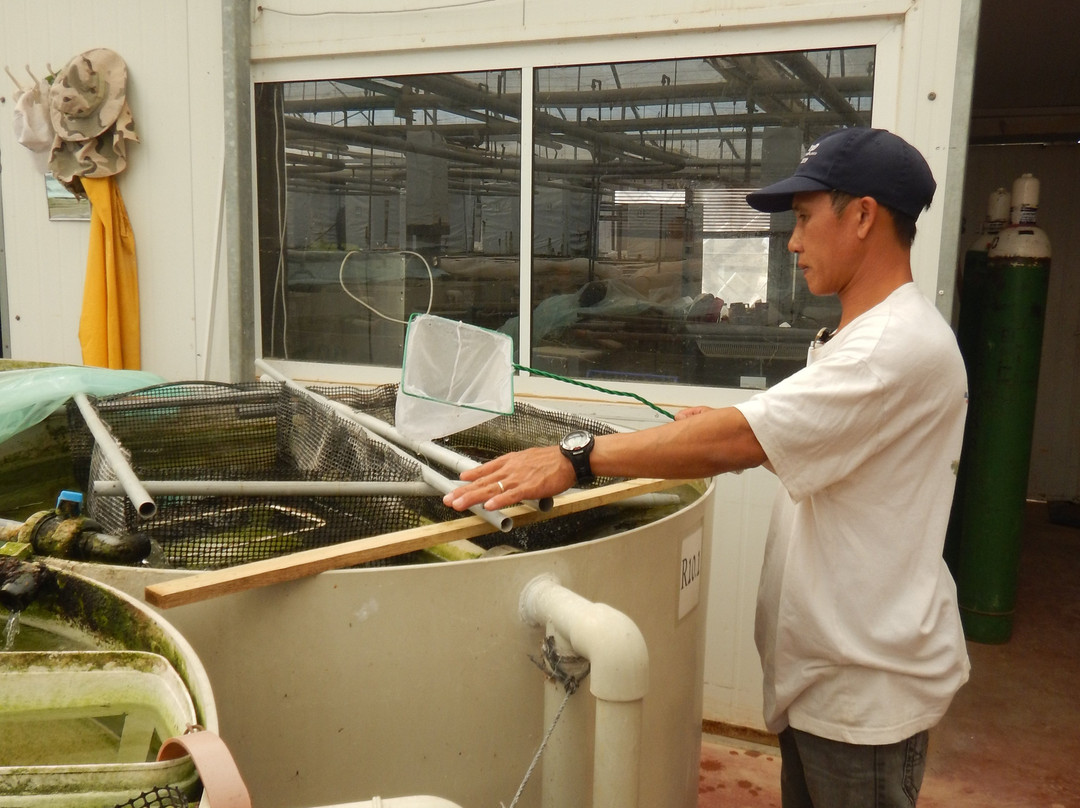 Sea-gal advanced aguaculture-Idan必去景点