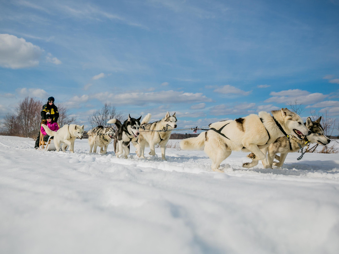 Locations Motoneige Quebec景点图片