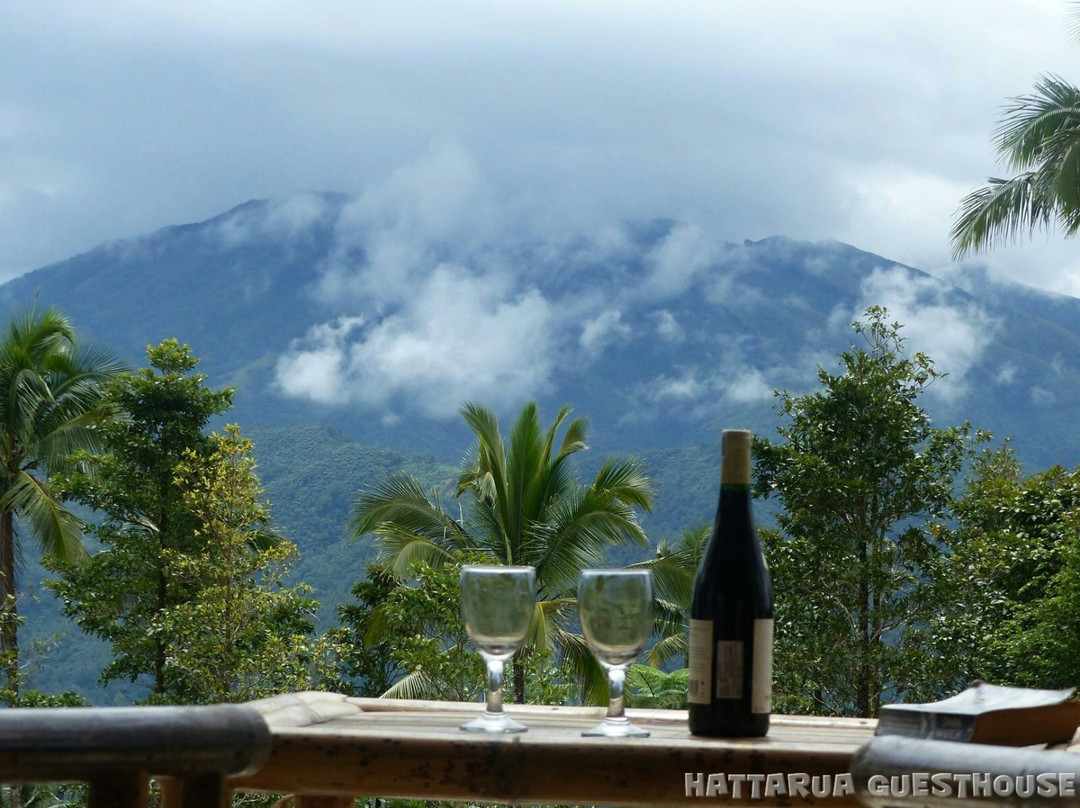 Hattarua Guesthouse