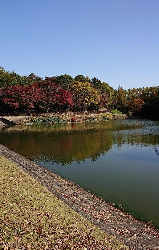 Daibutsu in Shurakuen景点图片