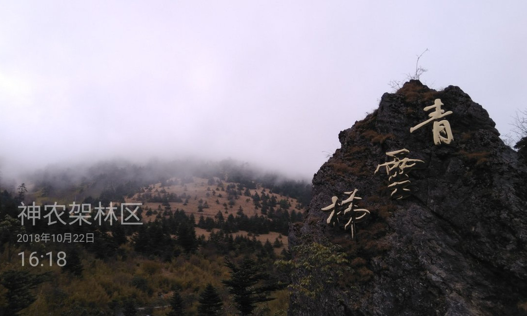 神农顶国家自然保护区景点图片