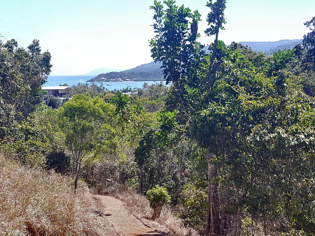 Airlie Creek Track-艾尔利滩必去景点