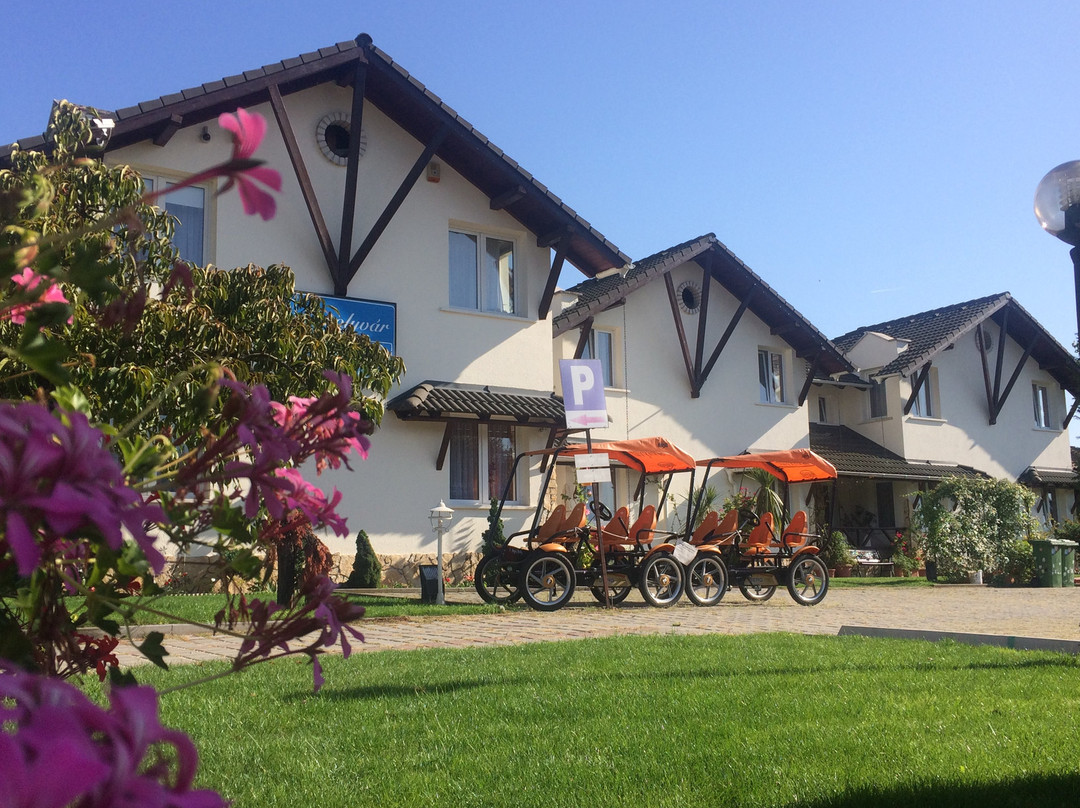 Inarcs酒店住宿-Bagolyvar Guesthouse