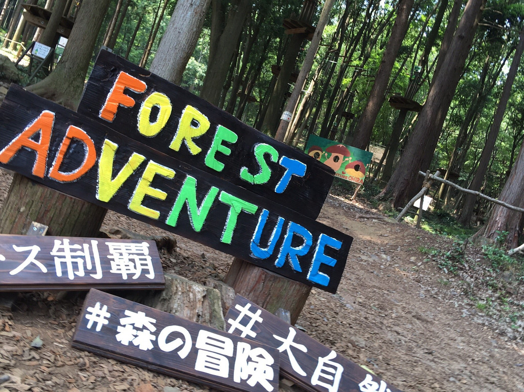 Forest Adventure Ohira-栃木市必去景点