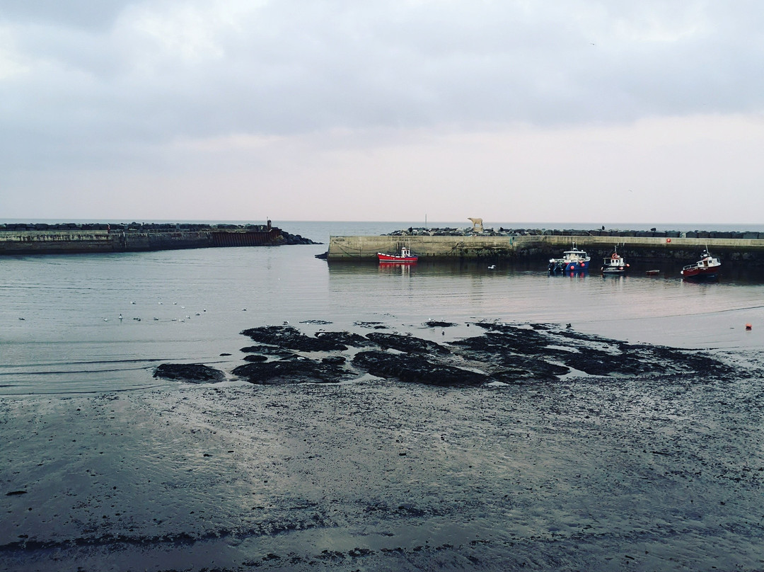 Hinderwell酒店住宿-The Old Post Office