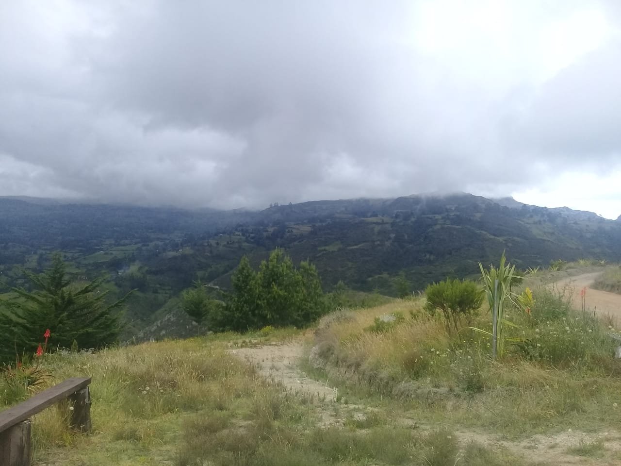 Balcones de El Carrizal-官方