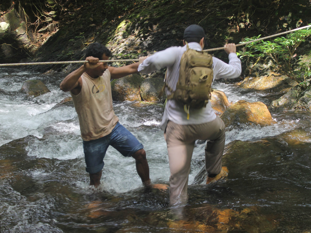 Orangutan Voyage-Kumai必去景点