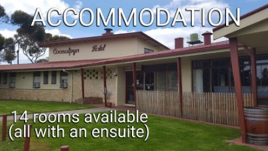 Coonalpyn Hotel主图