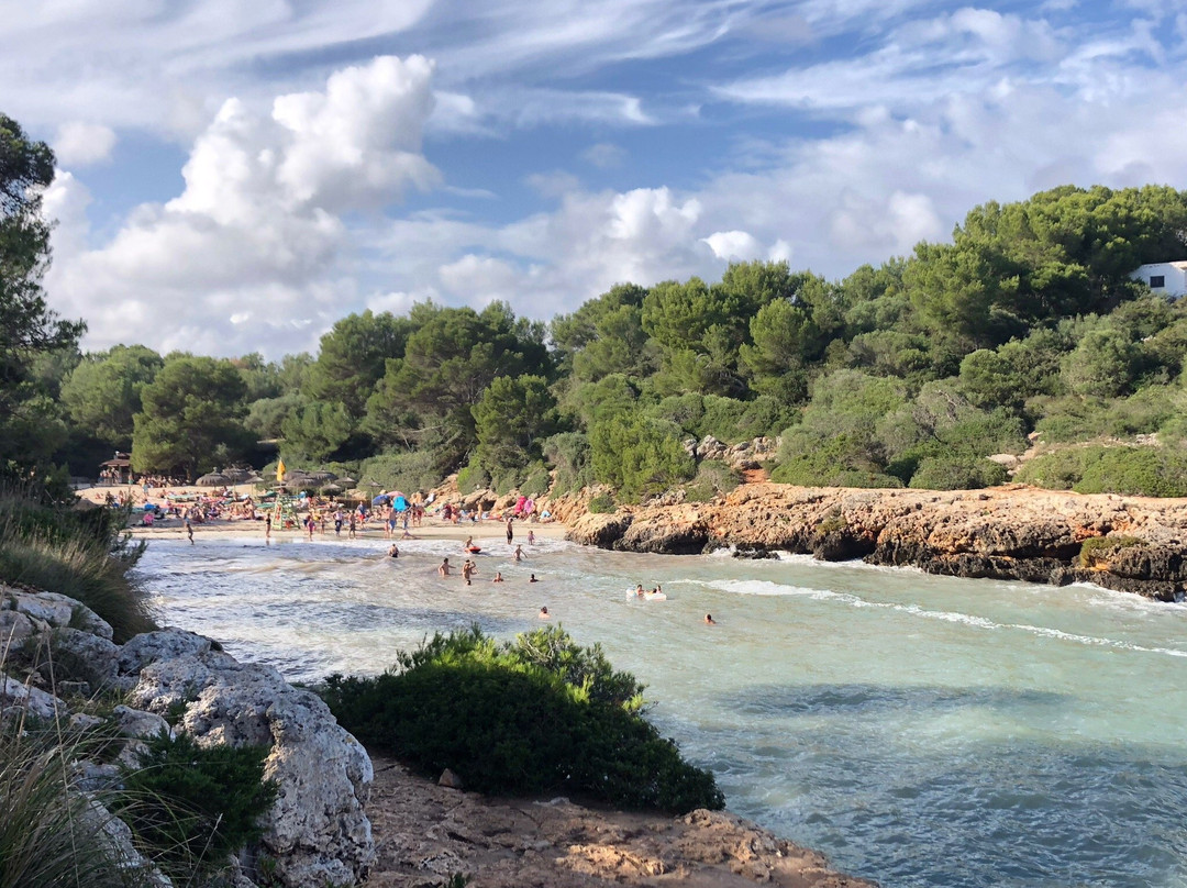 Cala Sa Nau景点图片