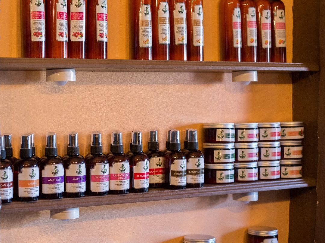 Wadadli Roots-圣 约翰必去景点