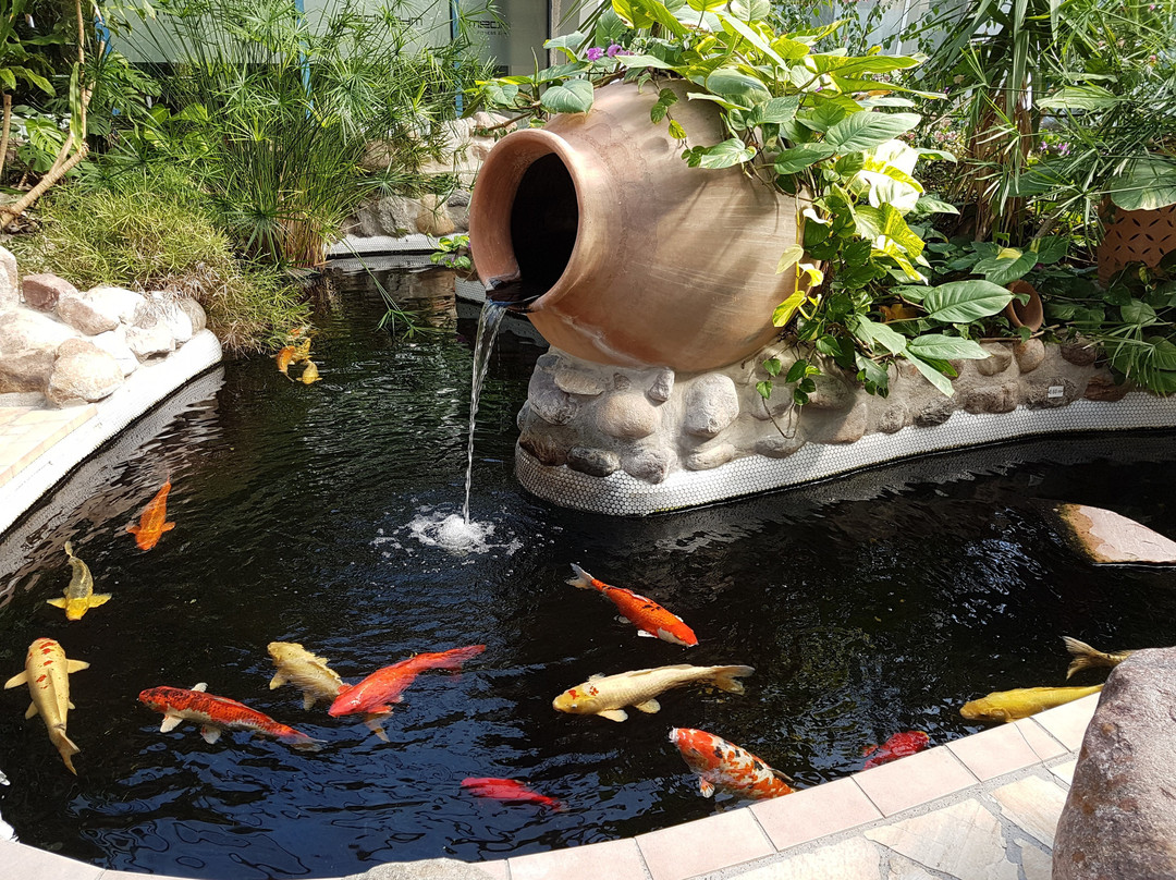 Medi Therme Ruhrpark景点图片