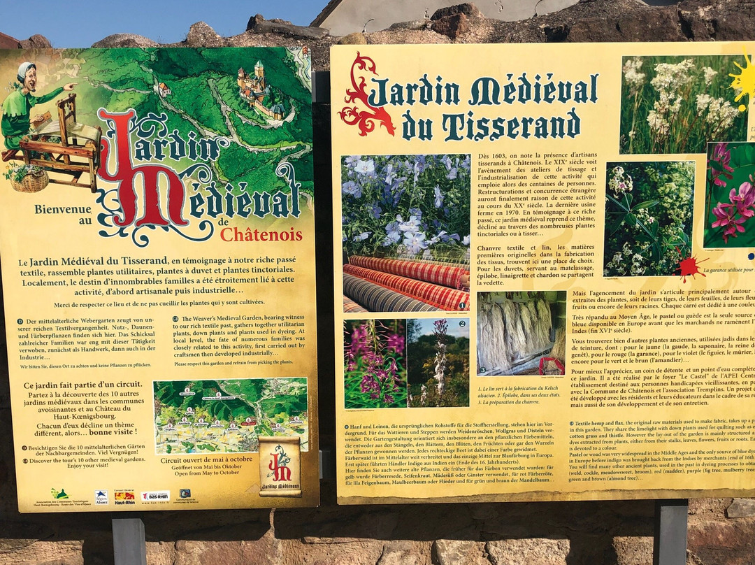 Jardin medieval景点图片