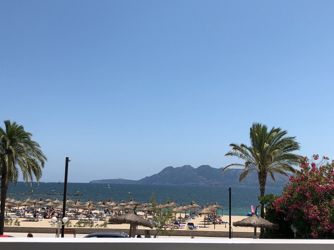 Pollenca旅游景点-Paseo del Port de Pollenca