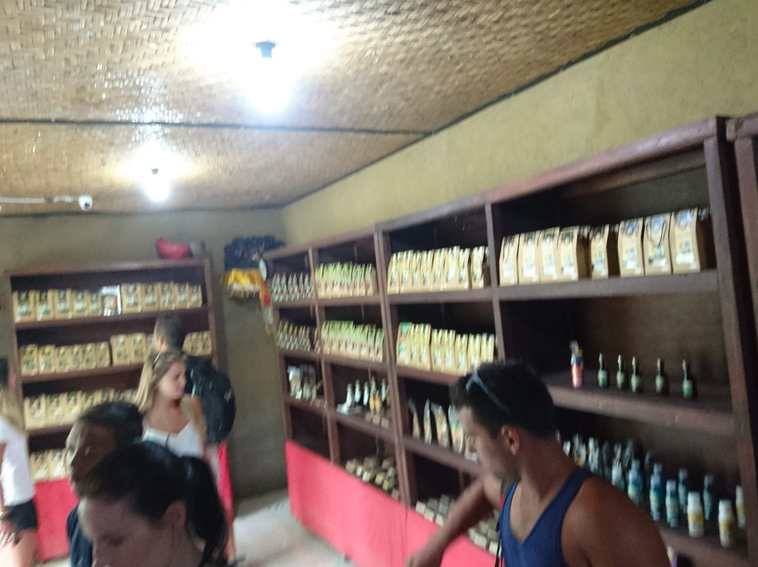 One Bali Agrowisata-Beraban必去景点