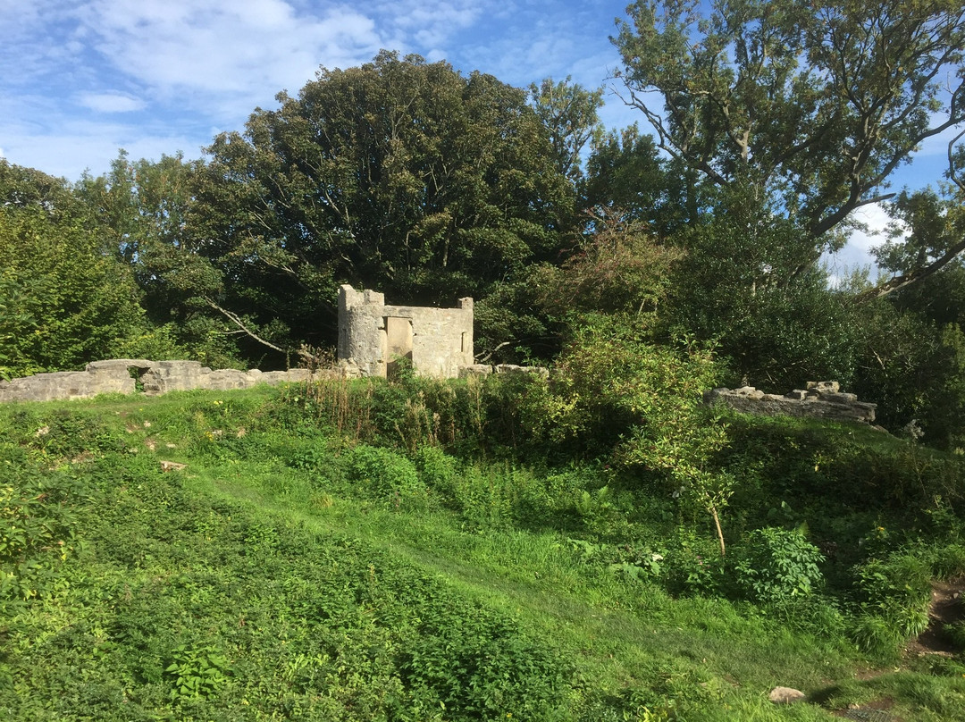 Aberlleiniog Castle-Llangoed必去景点