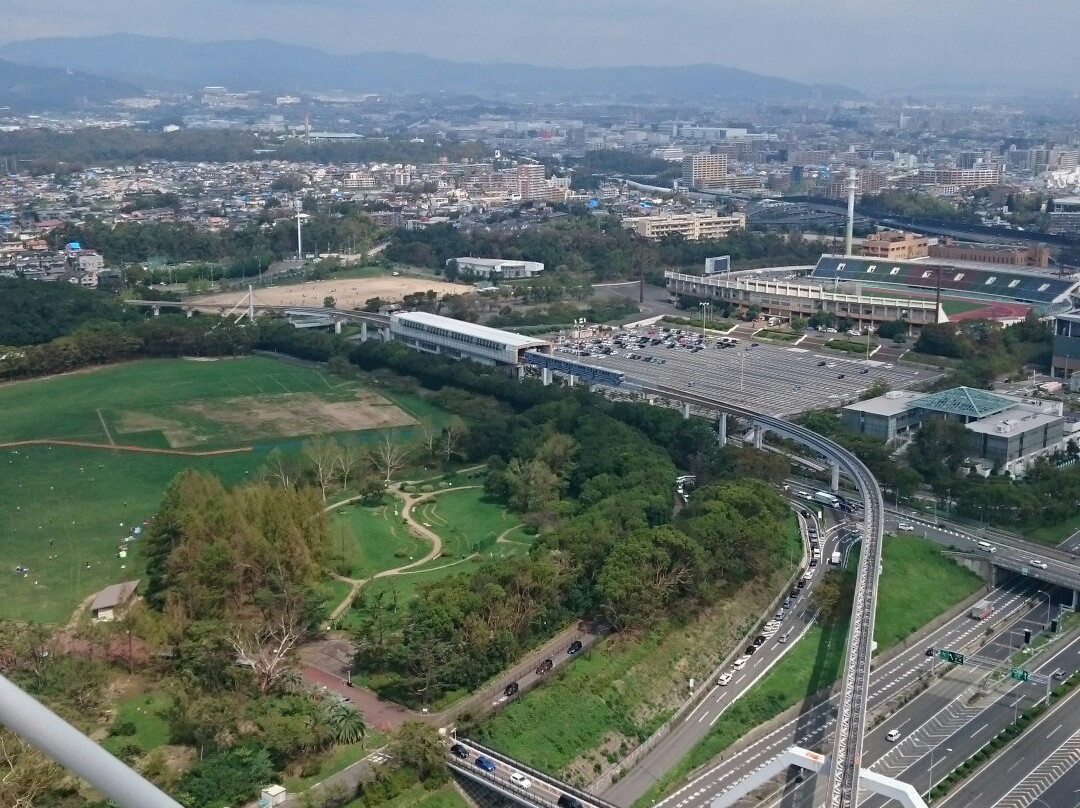 Redhorse Osaka Wheel景点图片