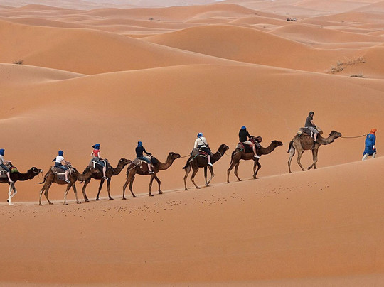 Visitar Desierto-瓦尔扎扎特必去景点