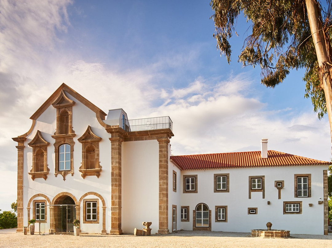 Castelo Novo旅游攻略图片