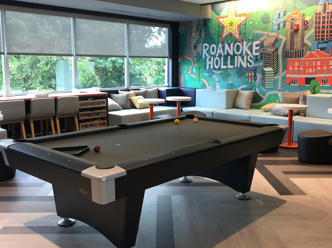 Tru by Hilton Roanoke Hollins主图