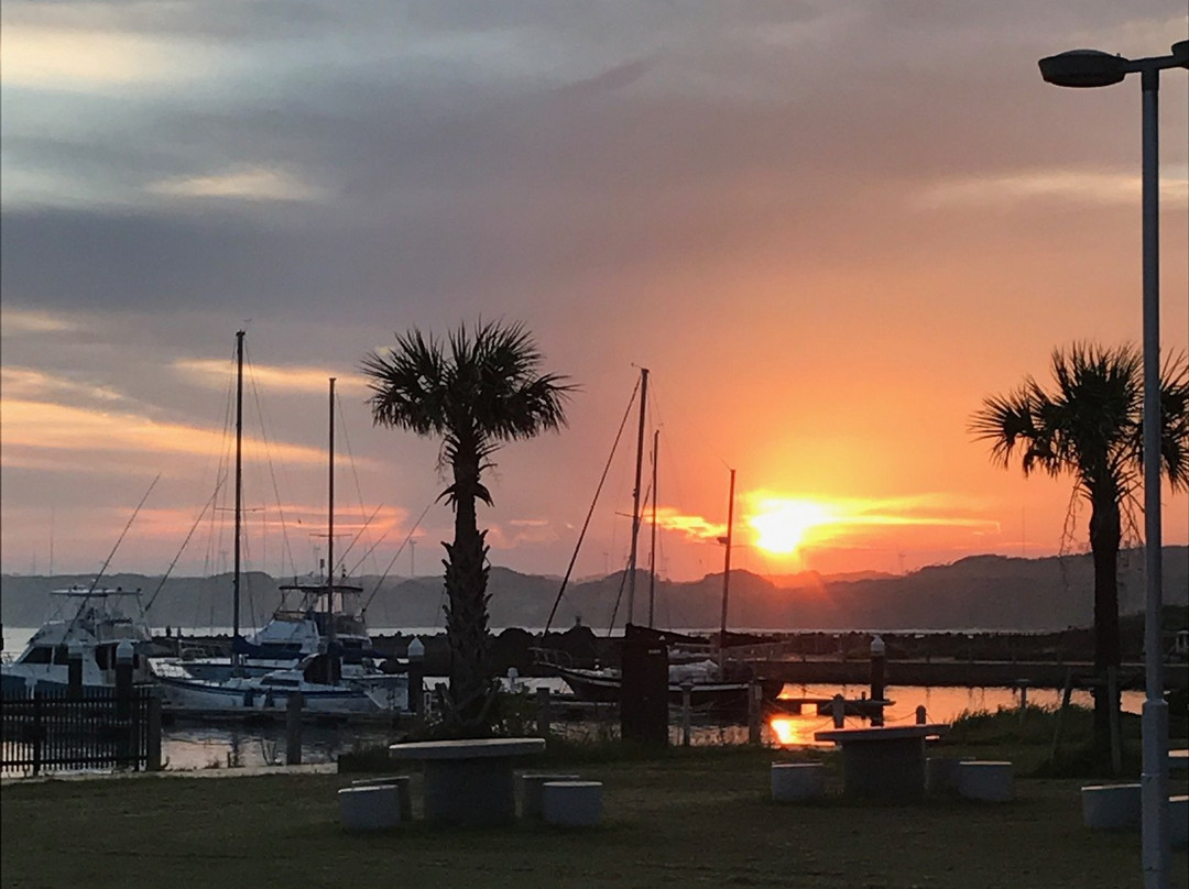 Choshi Marina-铫子市必去景点