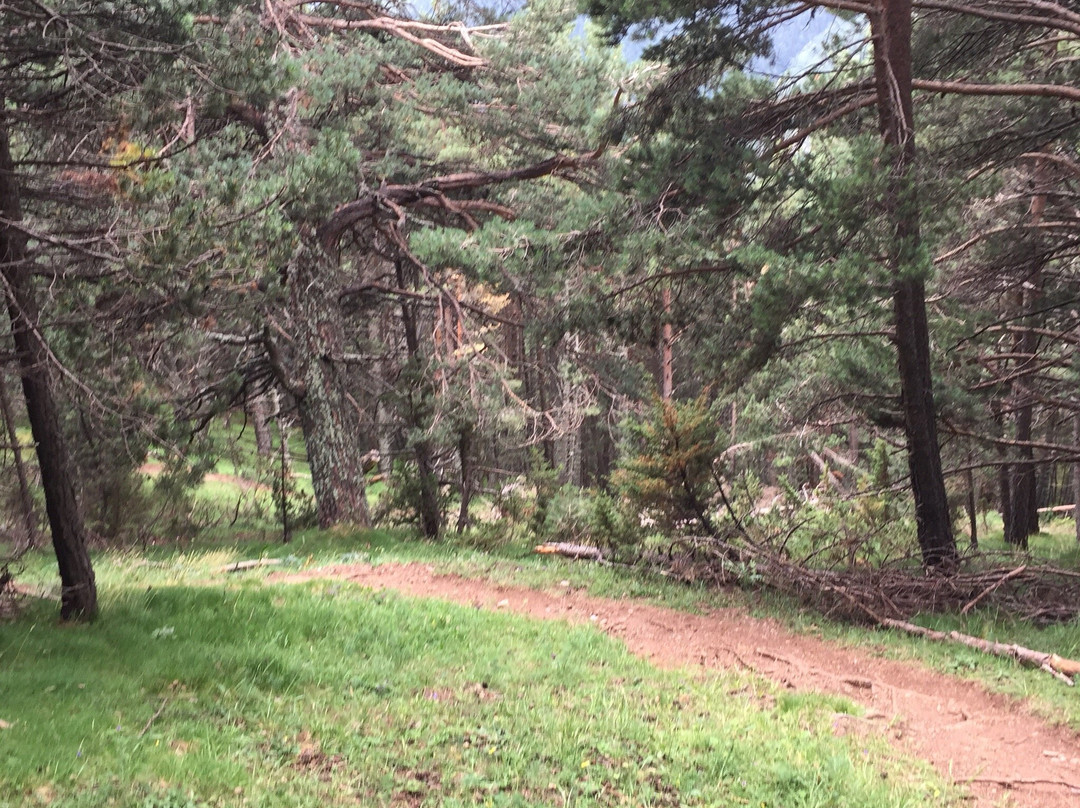 Cami Coll de les Cases-阿林萨尔必去景点