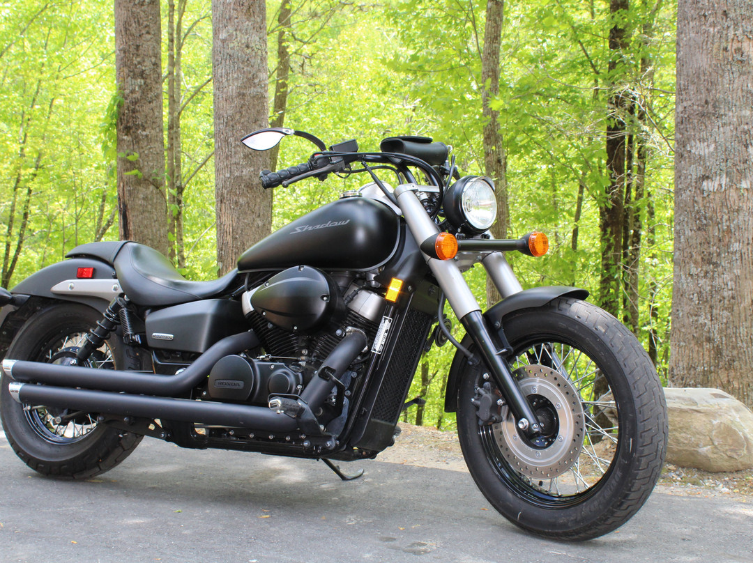 Wolf Creek Motorsport Rentals-罗宾斯维尔必去景点