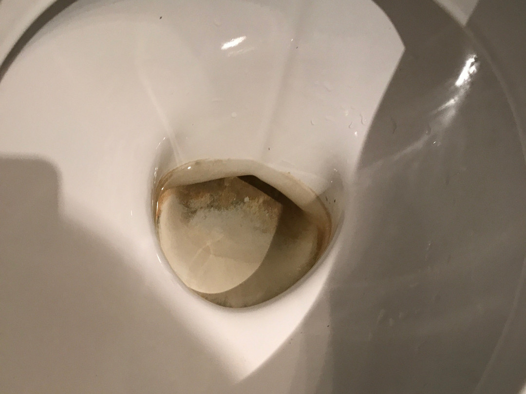 Belambra Clubs - L'Alisier主图