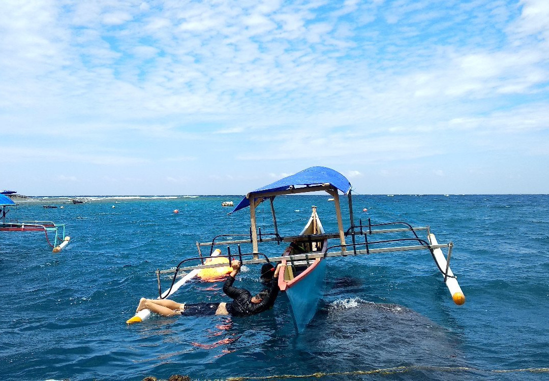 Whale Shark Sightseeing Spot景点图片