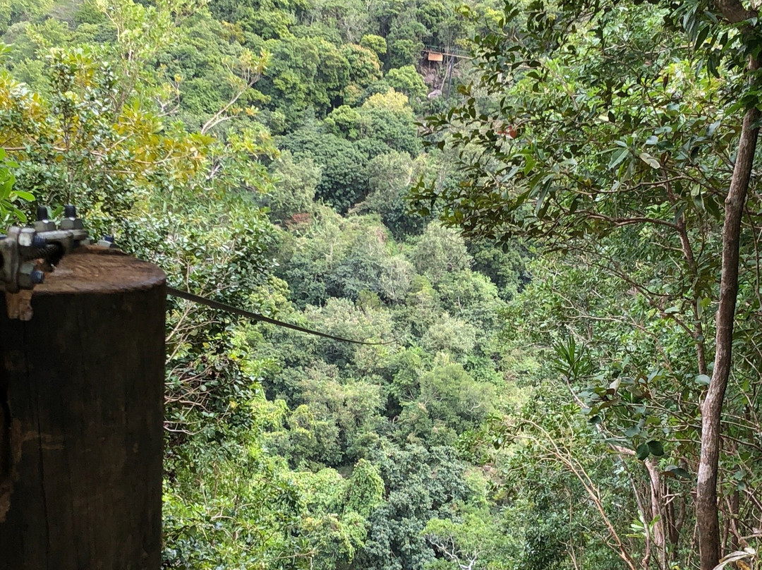 Lavilleon Natural Forest-沙马雷勒必去景点