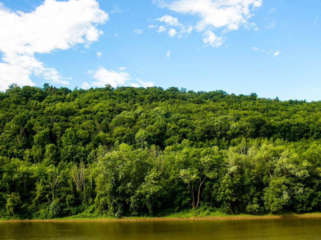 Hampton Inn Owego主图