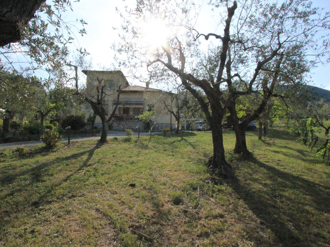 B&B I Melograni主图