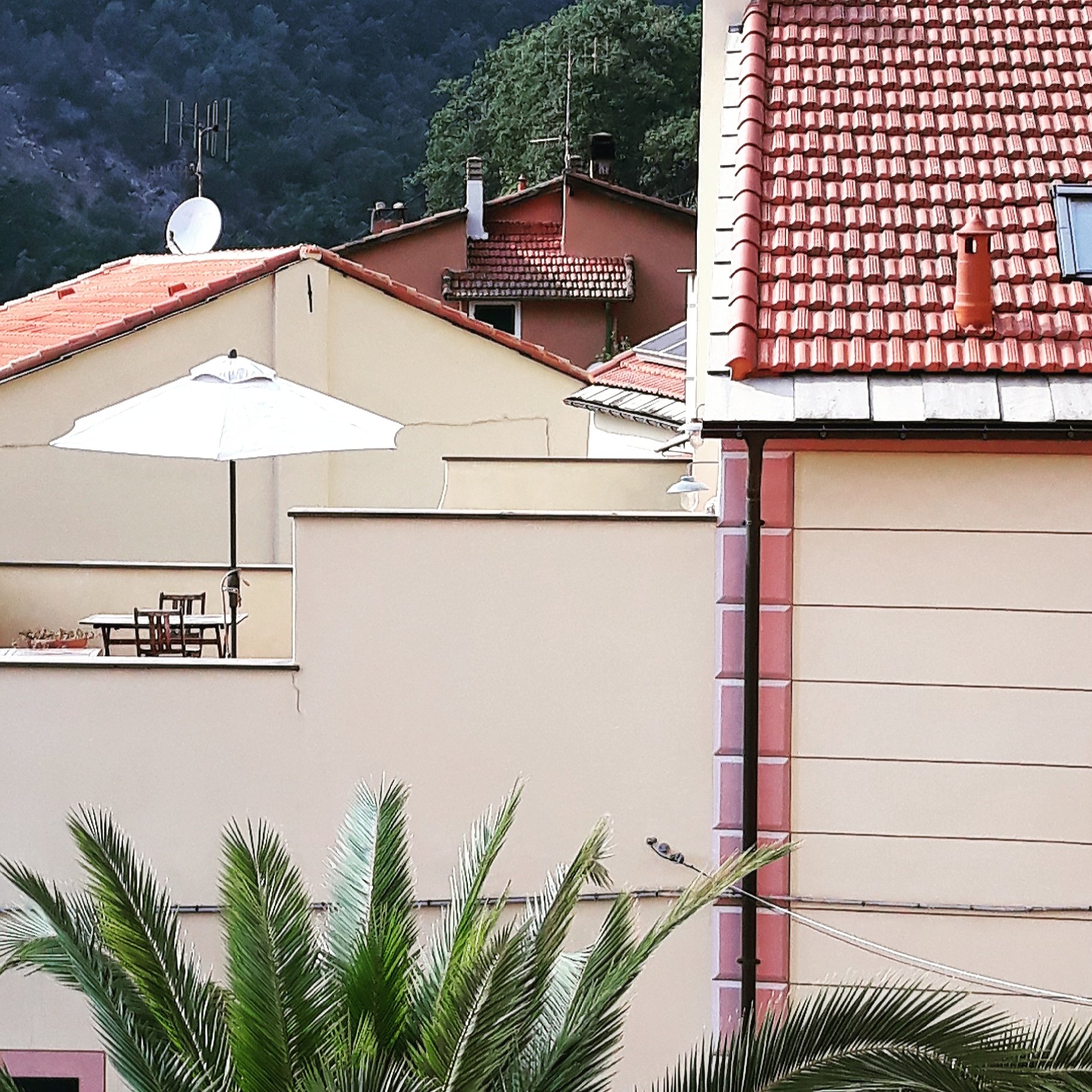 B&B Pernambucco-官方