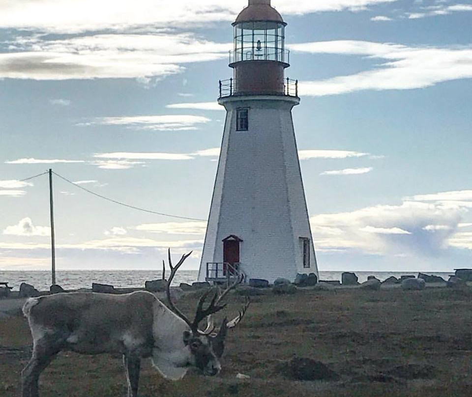 Sea Echo Motel主图