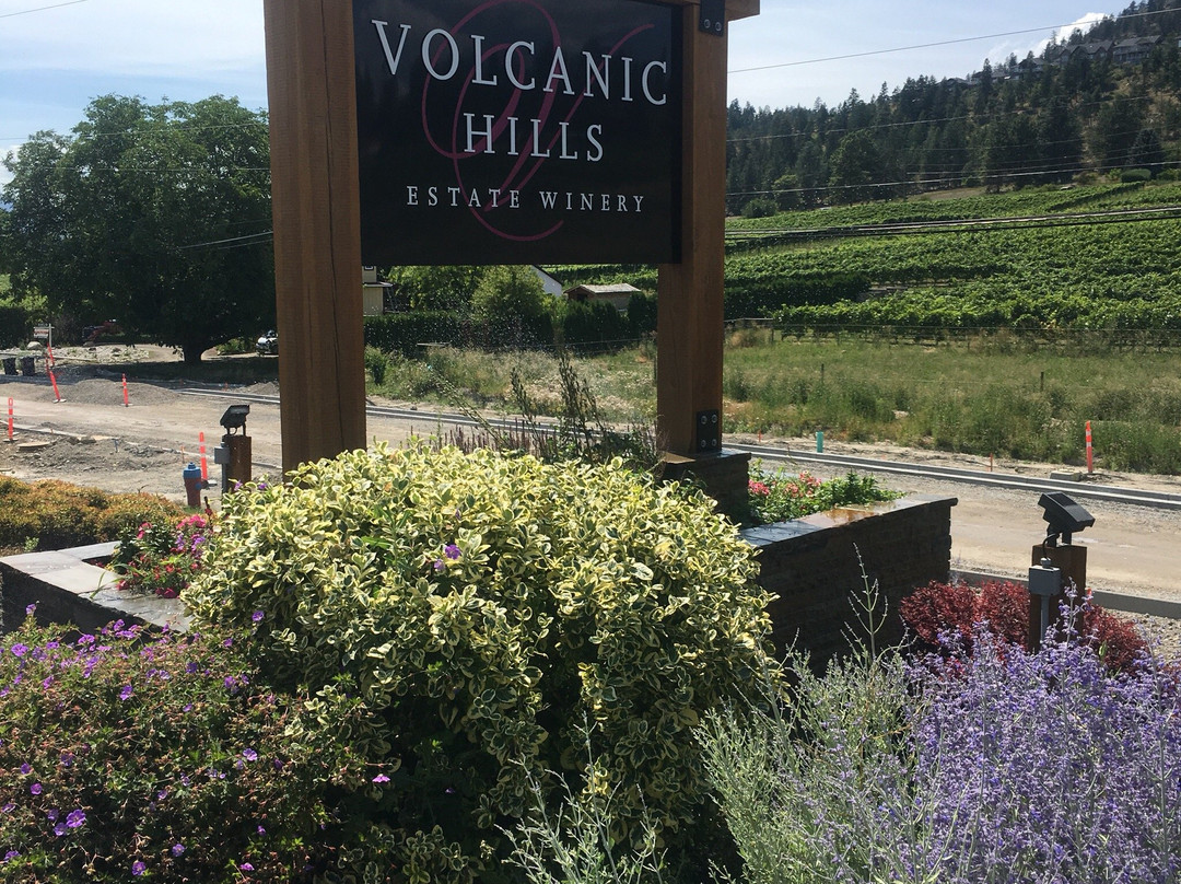 Volcanic Hills Estate Winery景点图片