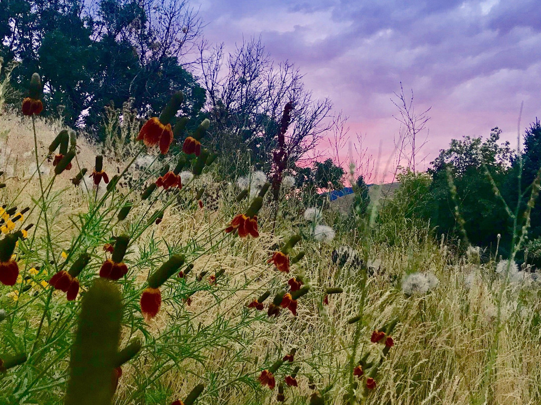 City Creek Canyon-盐湖城必去景点