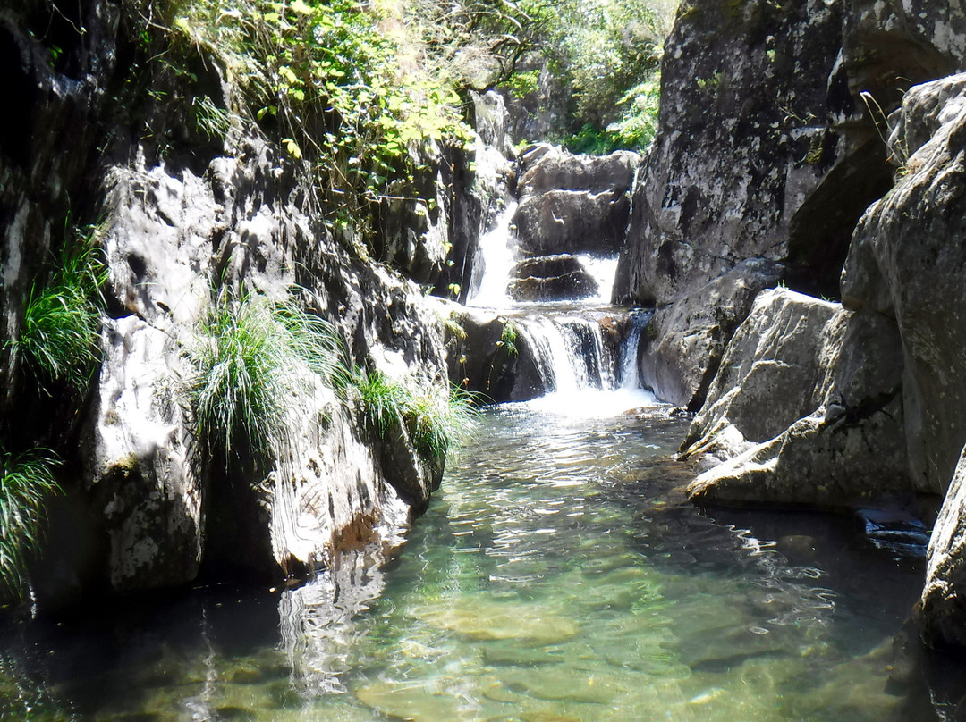 WILDIT - Adventure Tours & Travel-Sao Mamede de Infesta必去景点