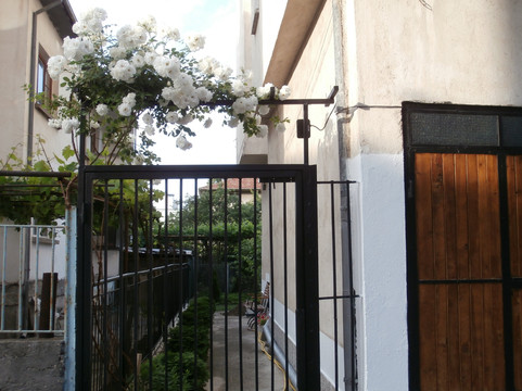 Apartments in House Silent Nature主图