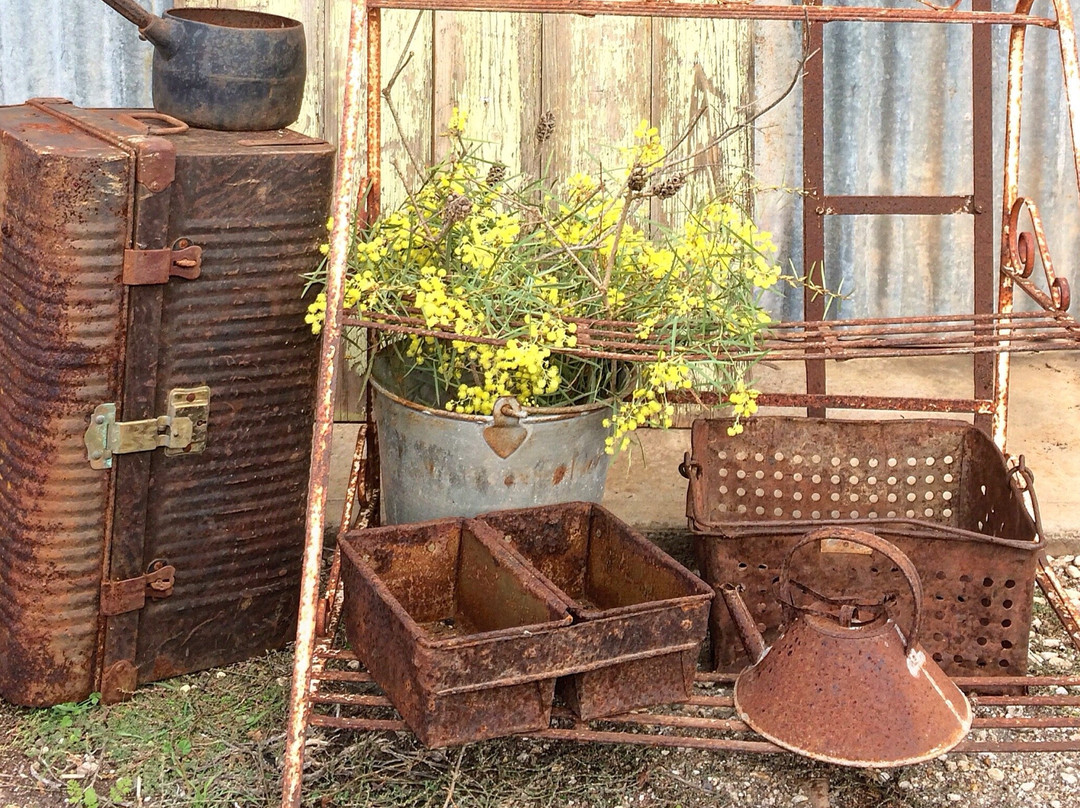 Scullery Days Vintage景点图片
