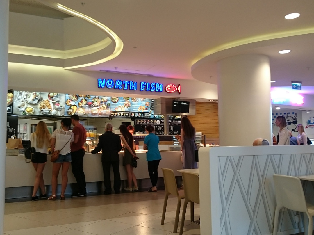 Wola Park-华沙必去景点