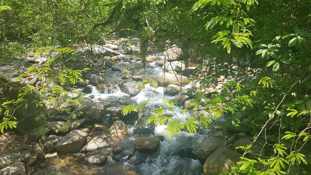 Sekayu Waterfall景点图片
