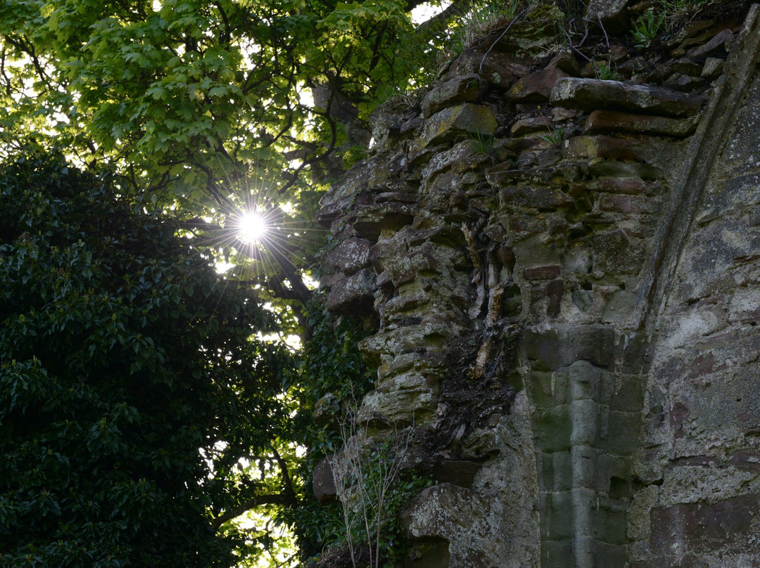 Lindores Abbey Ruins-Newburgh必去景点