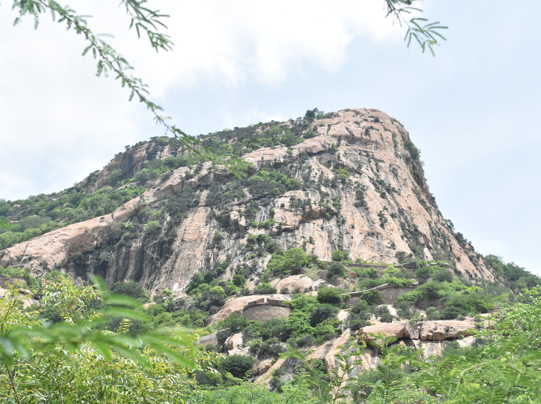 Sankagiri Fort景点图片