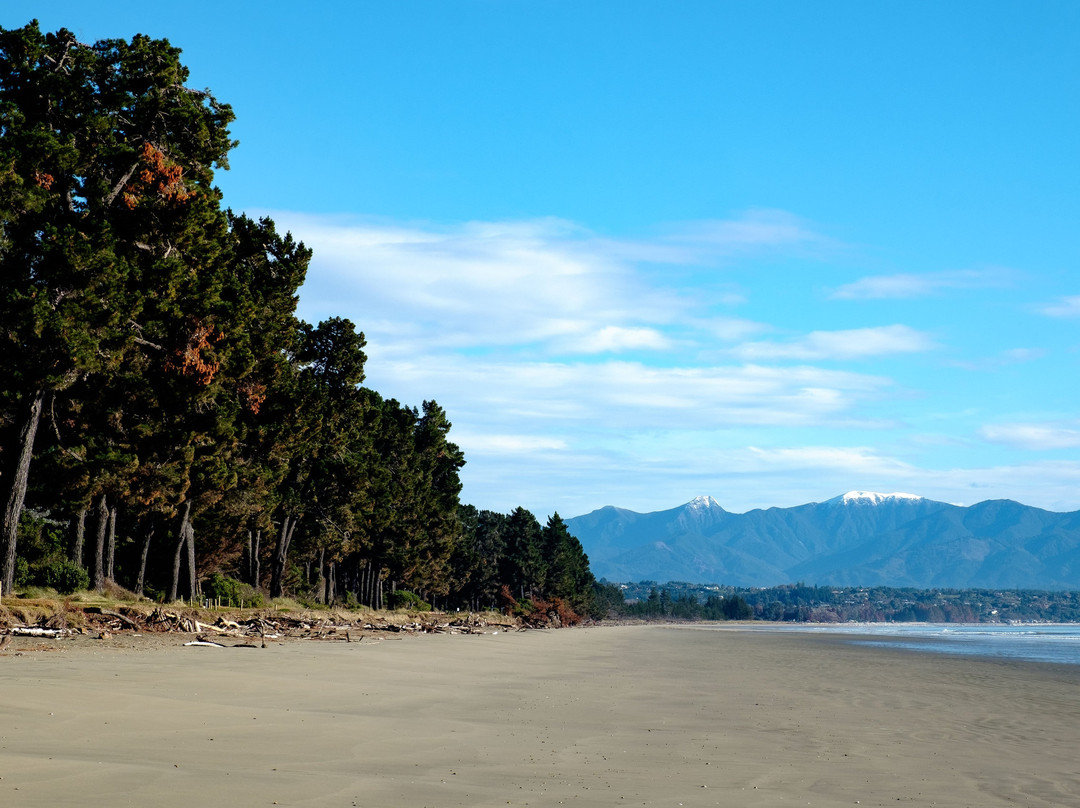 Moturoa / Rabbit Island景点图片