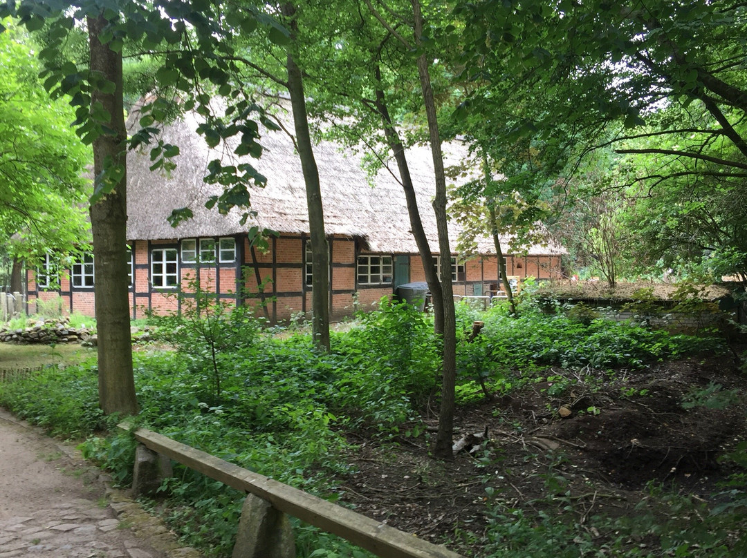 Tierpark Neumünster景点图片