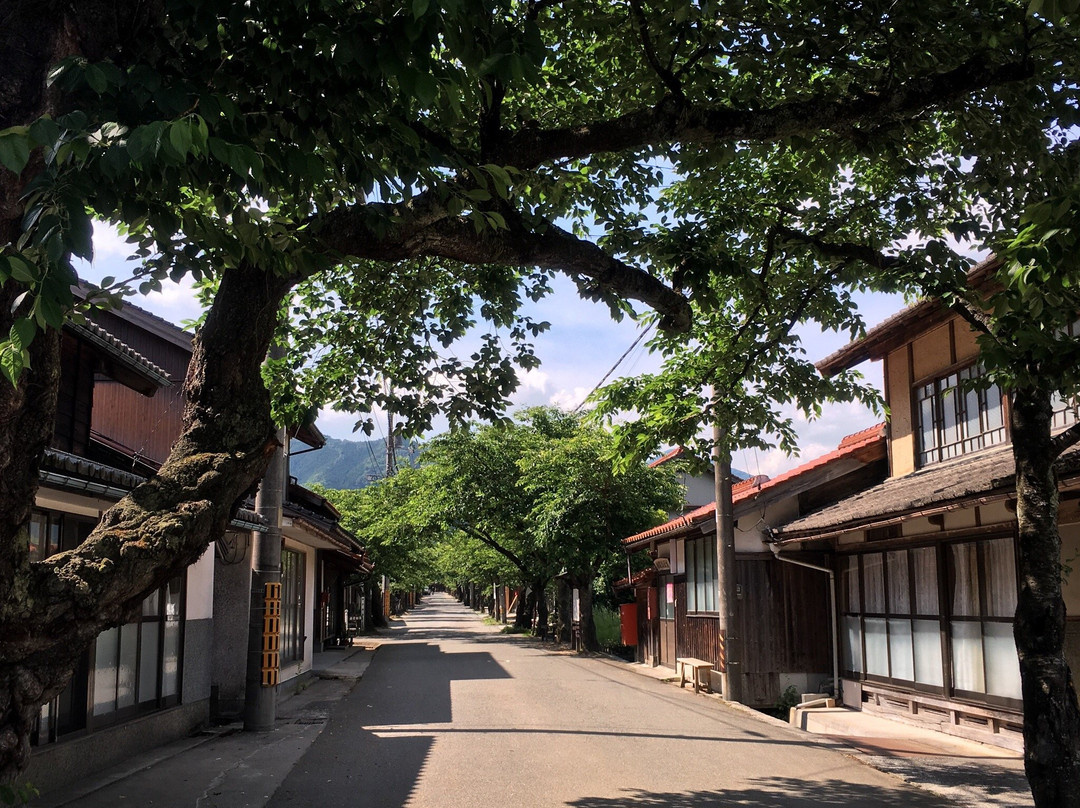 Gaisenzakura-新庄村必去景点