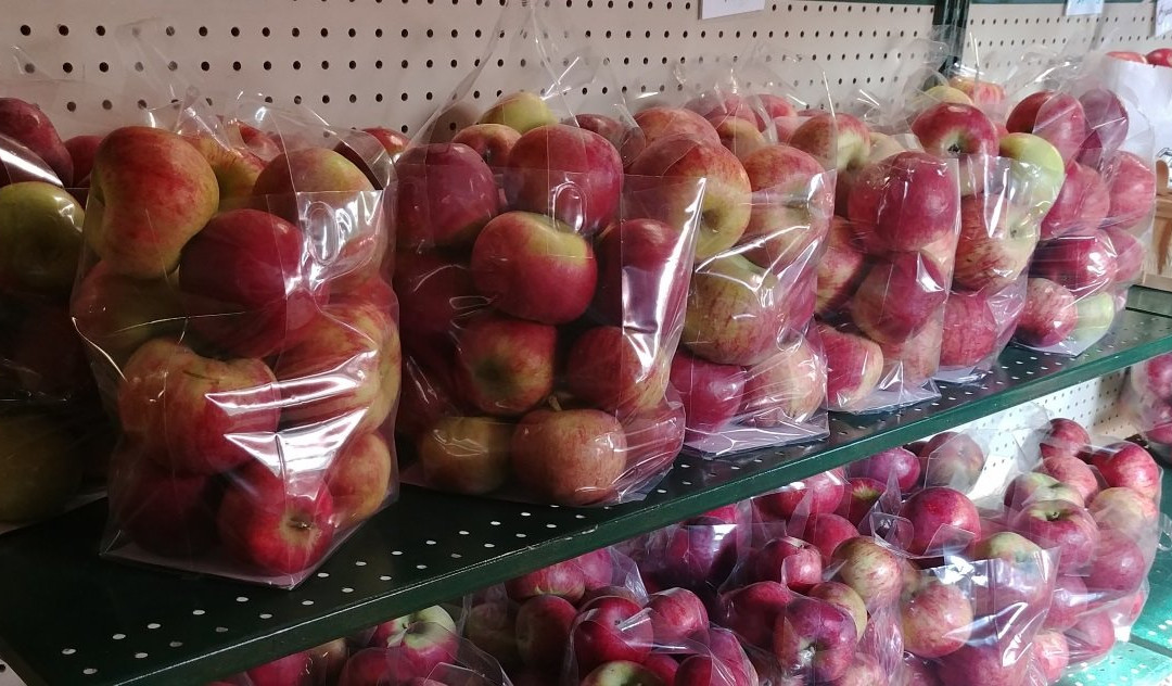 Waddell Apples - ﻿ Orchard & Farm Store景点图片