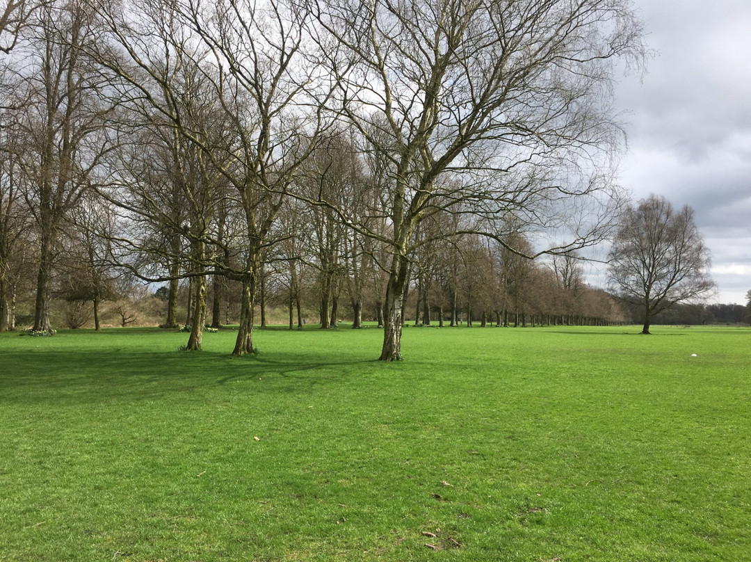 Marbury Country Park景点图片