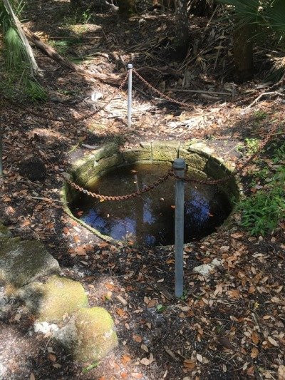 Bulow Creek State Park-奥蒙德海滩必去景点