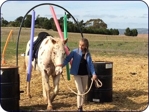 Alba View Equestrian-Ward Belt必去景点